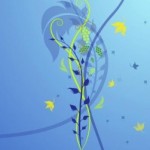 Profile picture of dipen