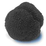 Profile picture of La Truffe