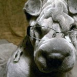 Profile picture of Mishulee
