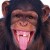 Avatar of rene marly