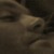 Profile picture of drewdakiss