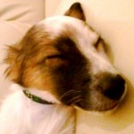 Profile picture of Danny