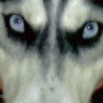 Profile picture of Alan
