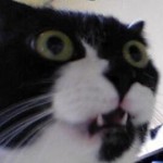Profile picture of Brian