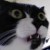 Profile picture of Brian